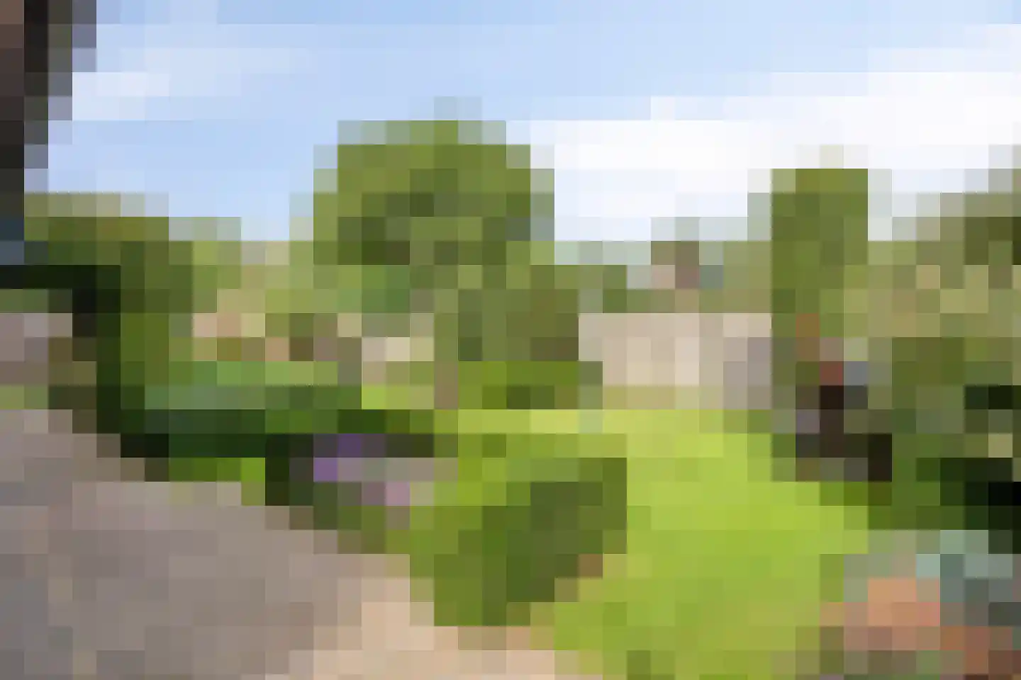 Kruisboog 17 Bergeijk thumbnail 37