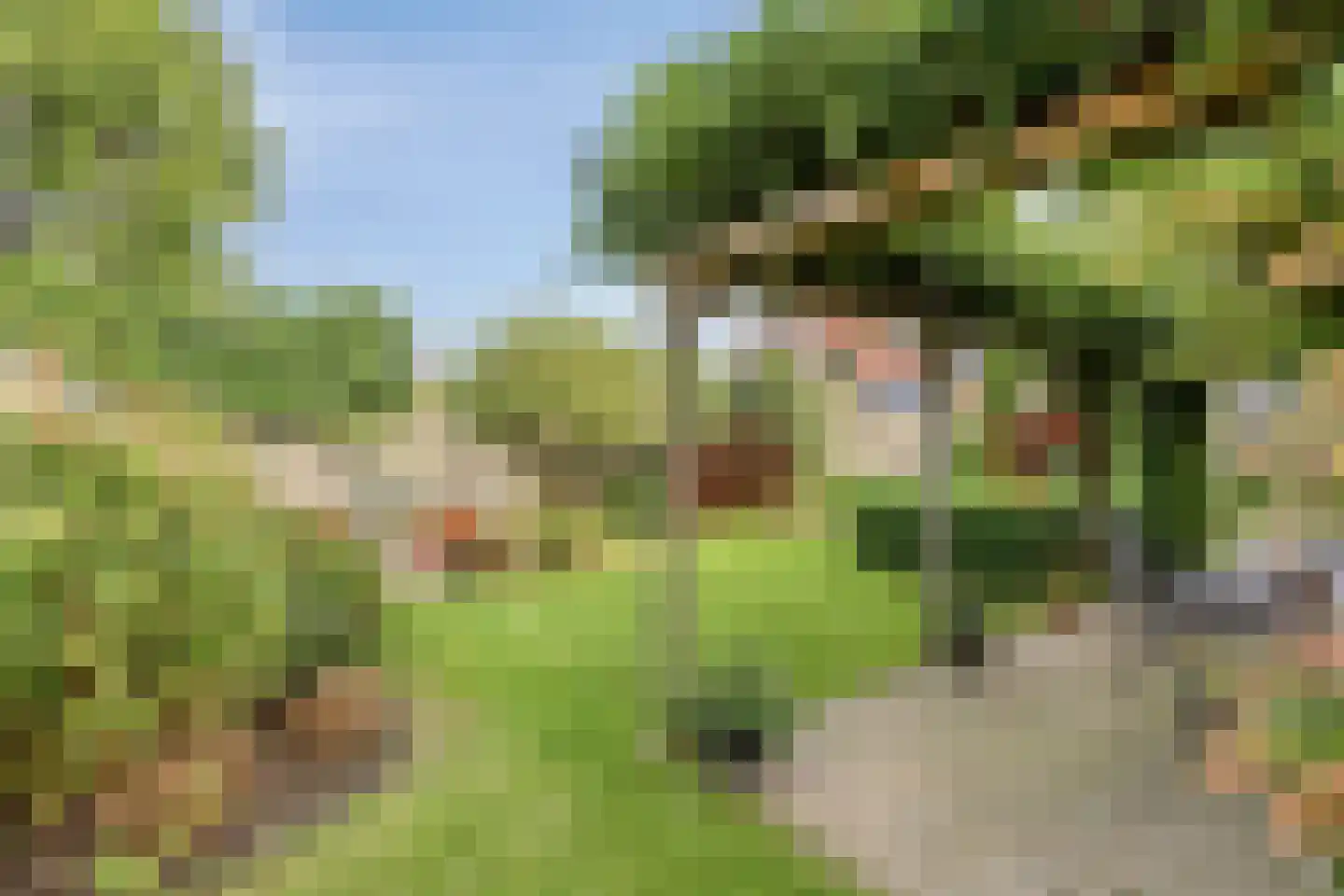 Kruisboog 17 Bergeijk thumbnail 38