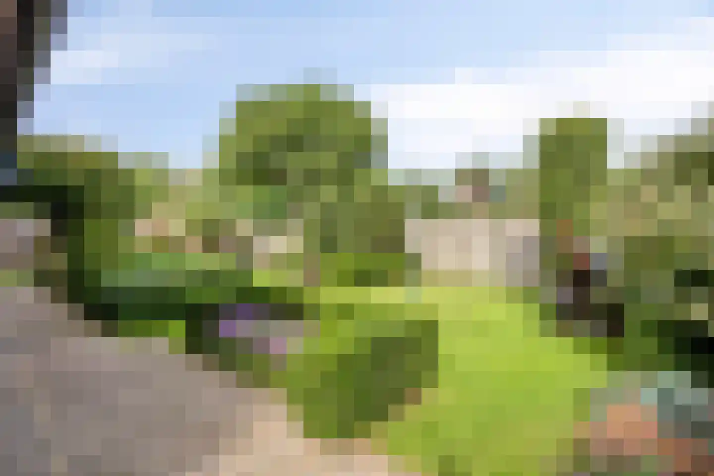 Kruisboog 17 Bergeijk thumbnail 4