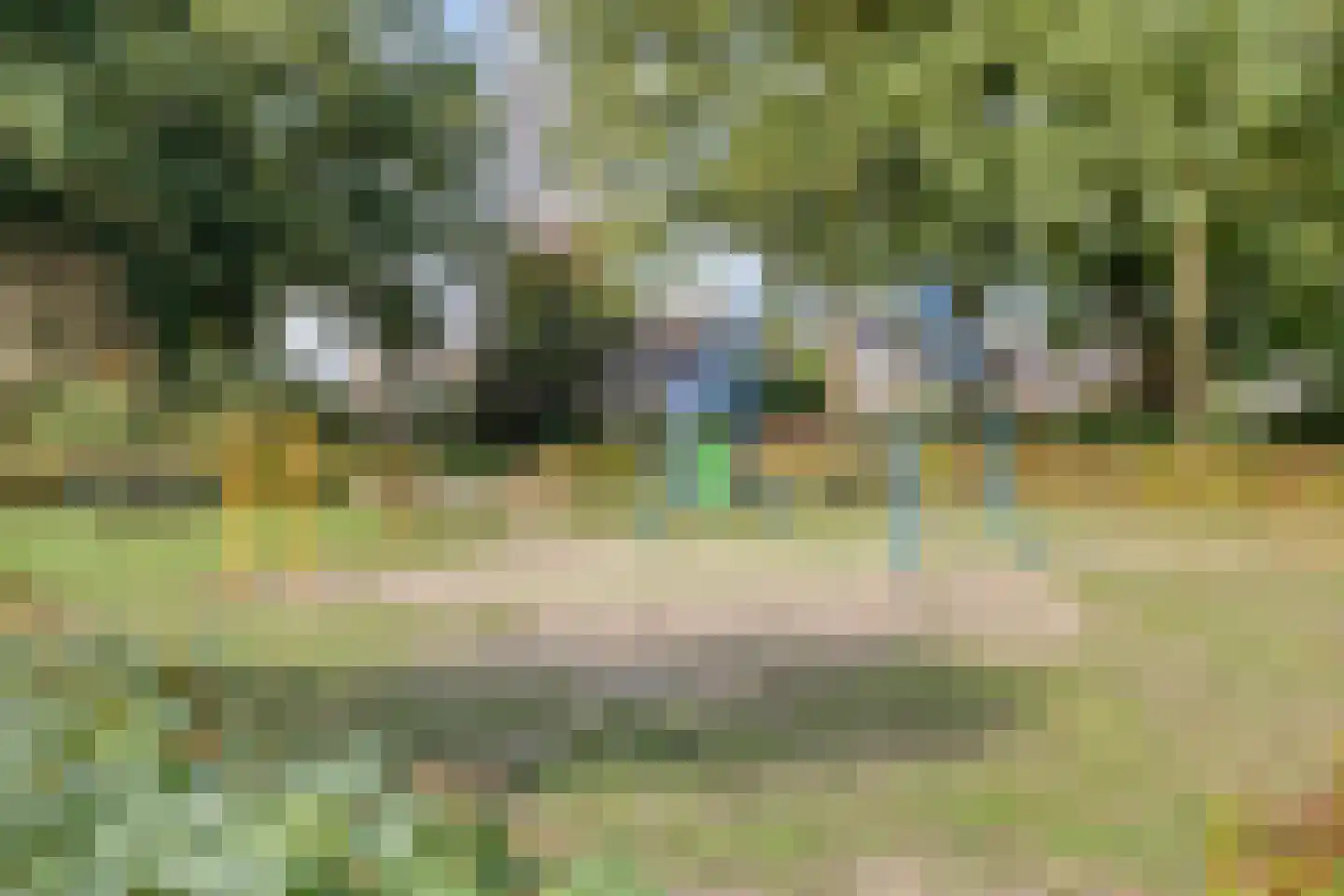 Kruisboog 17 Bergeijk thumbnail 51