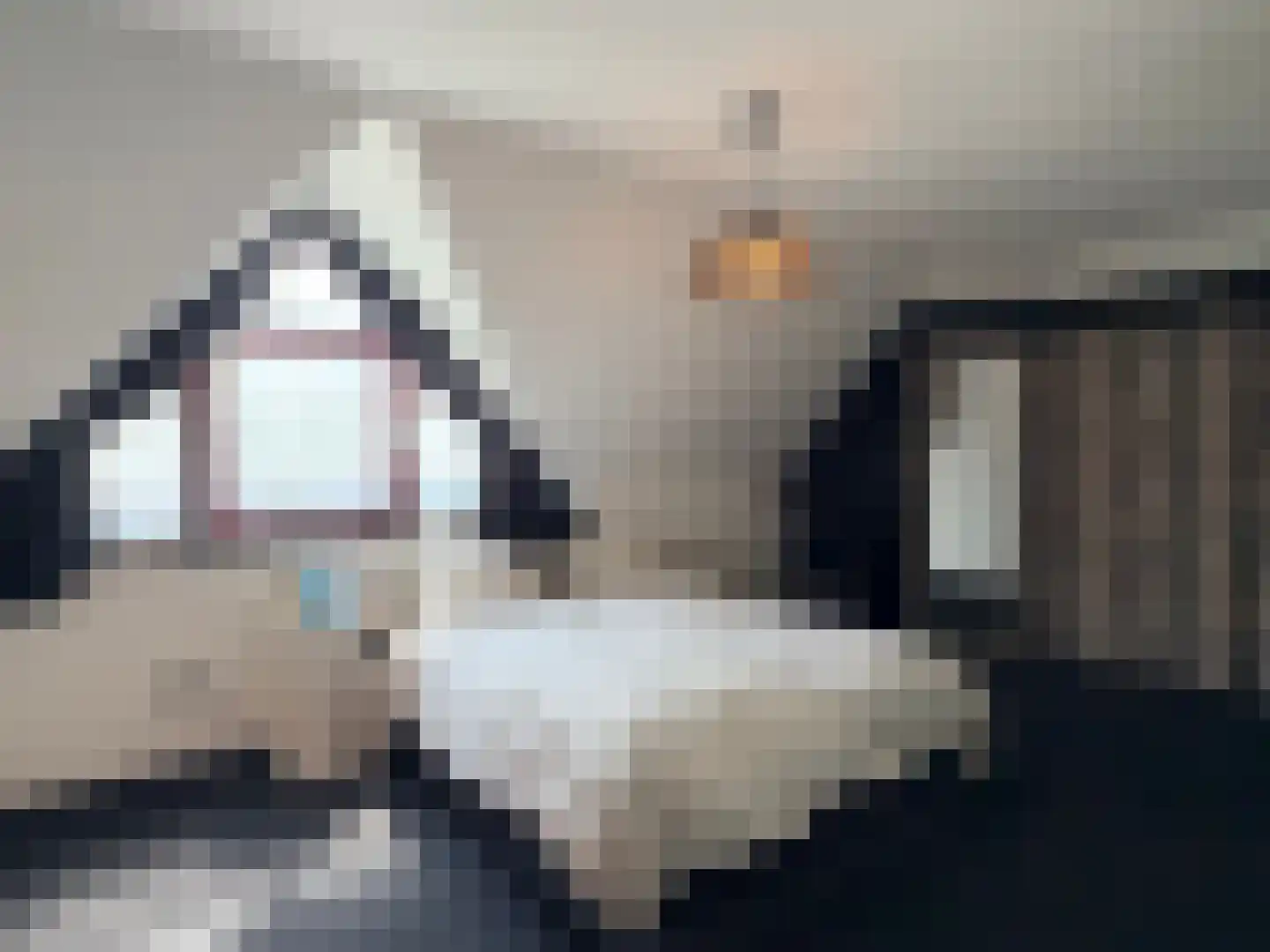 Kruisboog 25 Bergeijk thumbnail 15