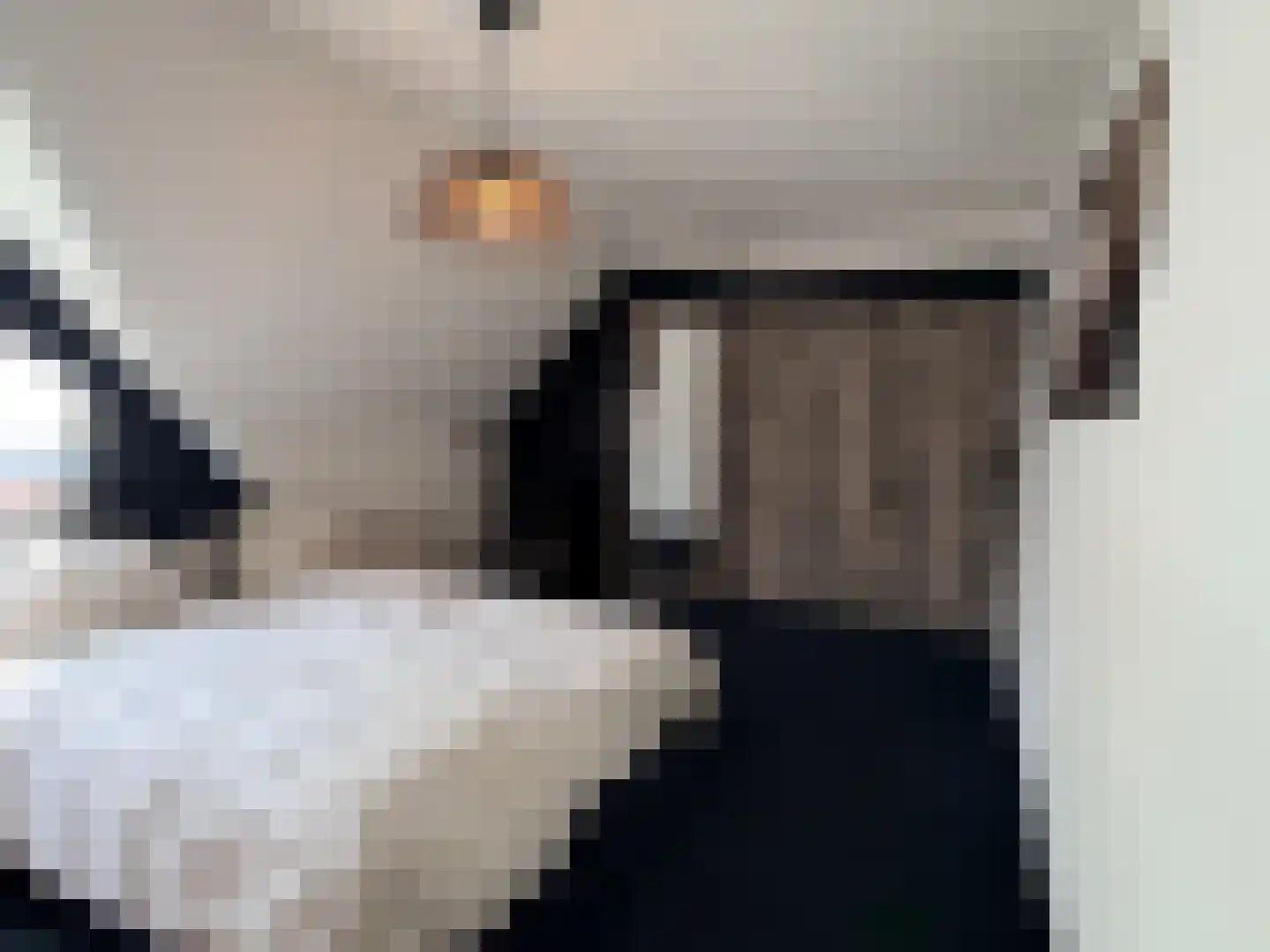 Kruisboog 25 Bergeijk thumbnail 16