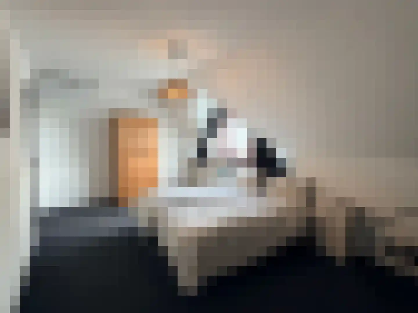 Kruisboog 25 Bergeijk thumbnail 17