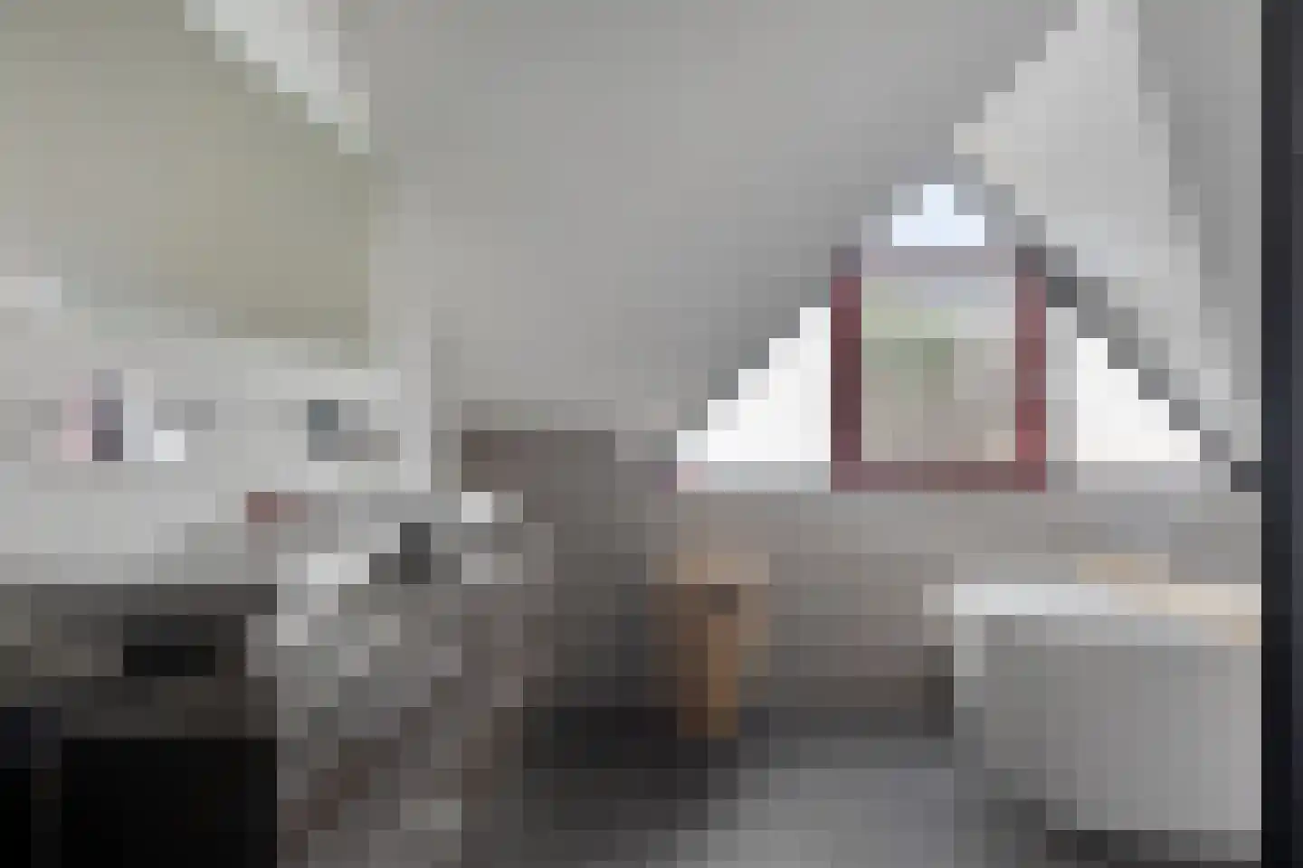 Kruisboog 25 Bergeijk thumbnail 22