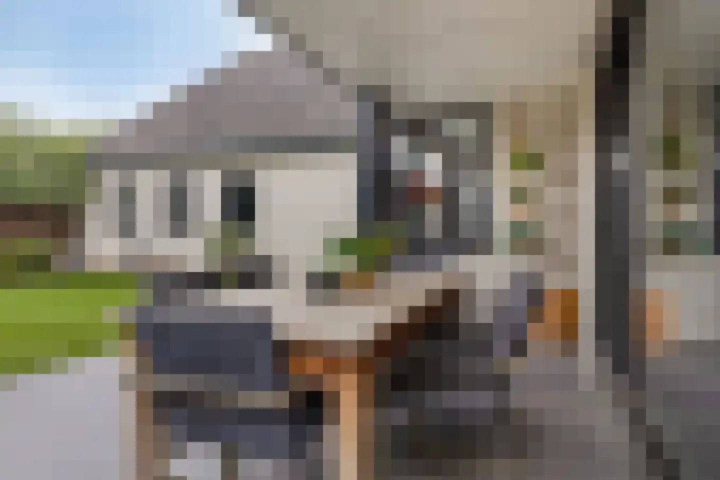 Kruisboog 25 Bergeijk thumbnail 33