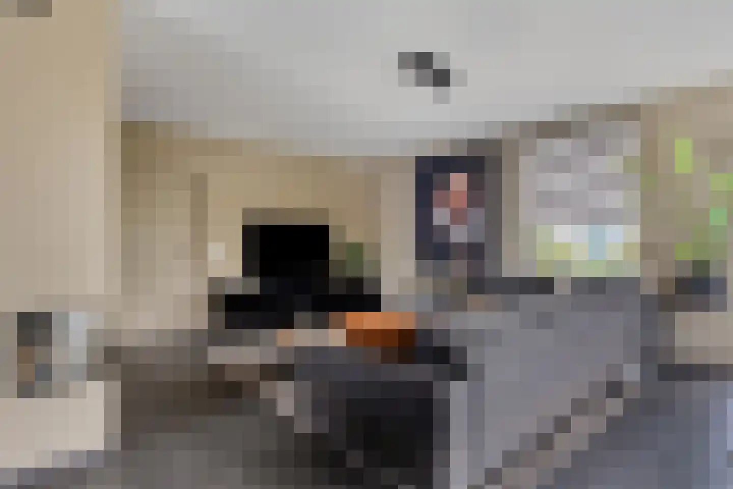 Kruisboog 25 Bergeijk thumbnail 6