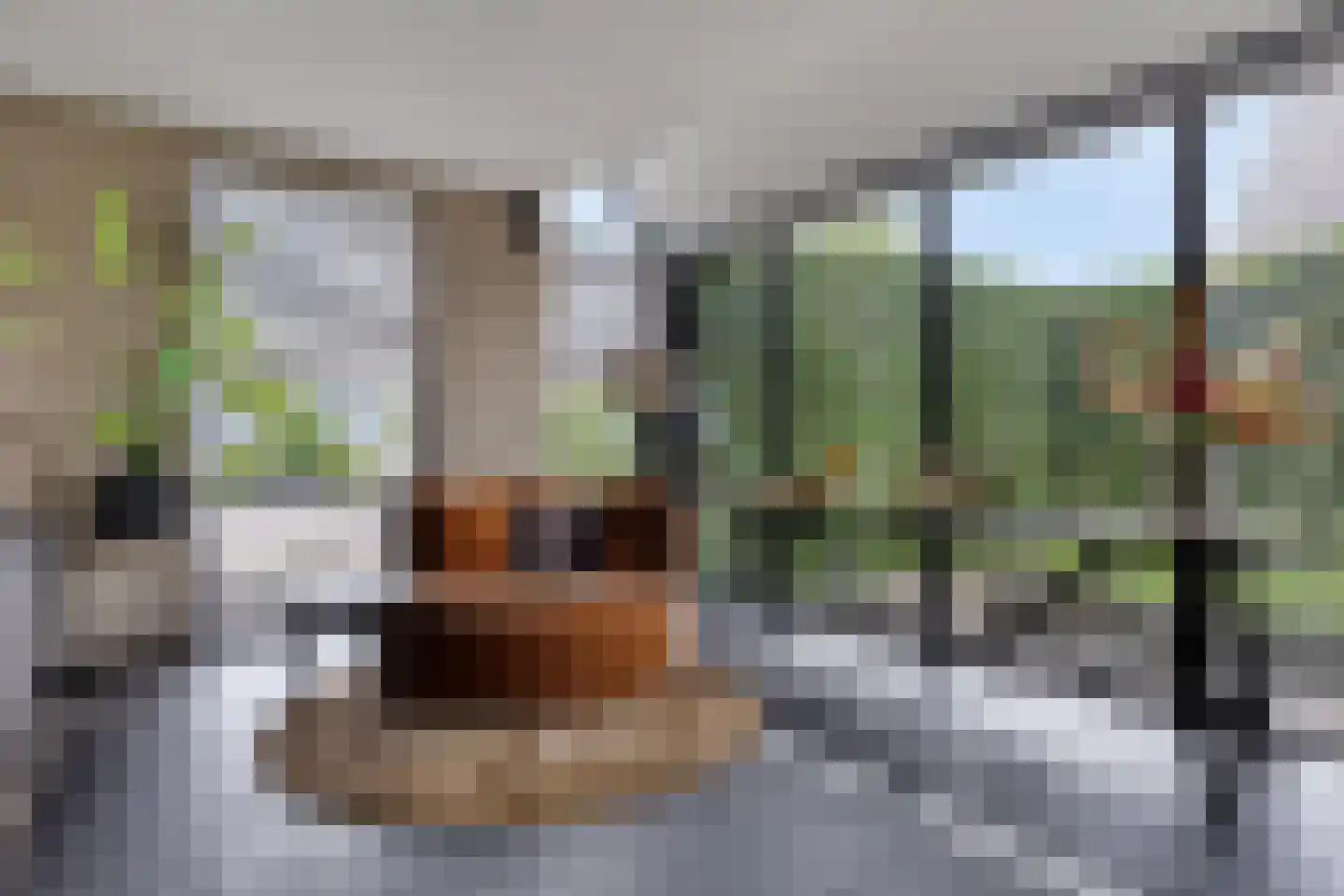 Kruisboog 25 Bergeijk thumbnail 7