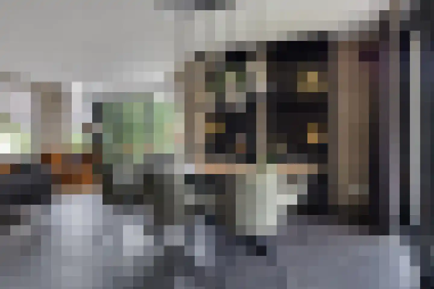 Kruisboog 25 Bergeijk thumbnail 9
