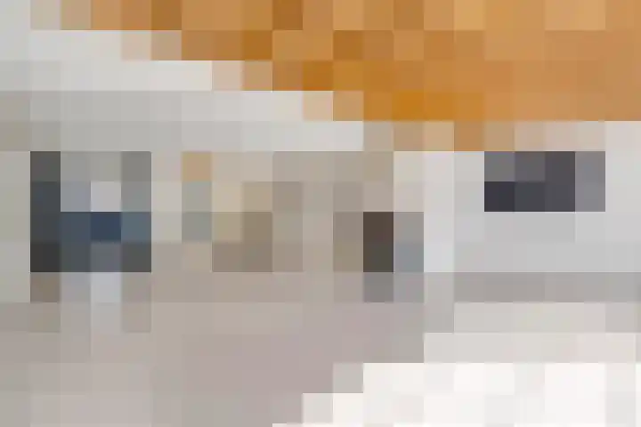 Kruisbooglaan 12 Oostvoorne thumbnail 11