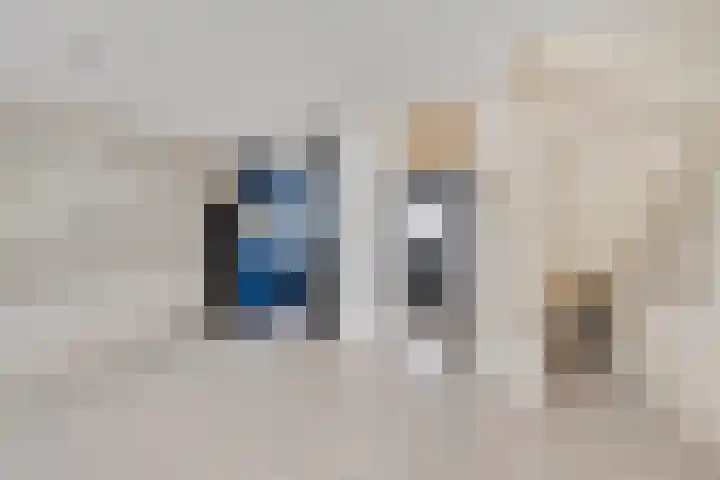 Kruisbooglaan 12 Oostvoorne thumbnail 12