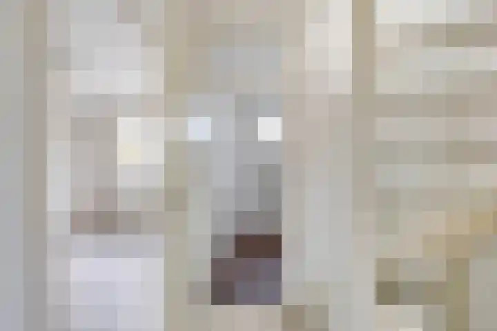 Kruisbooglaan 12 Oostvoorne thumbnail 14