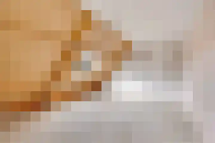Kruisbooglaan 12 Oostvoorne thumbnail 15
