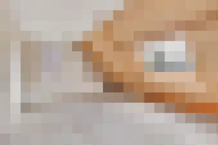 Kruisbooglaan 12 Oostvoorne thumbnail 16