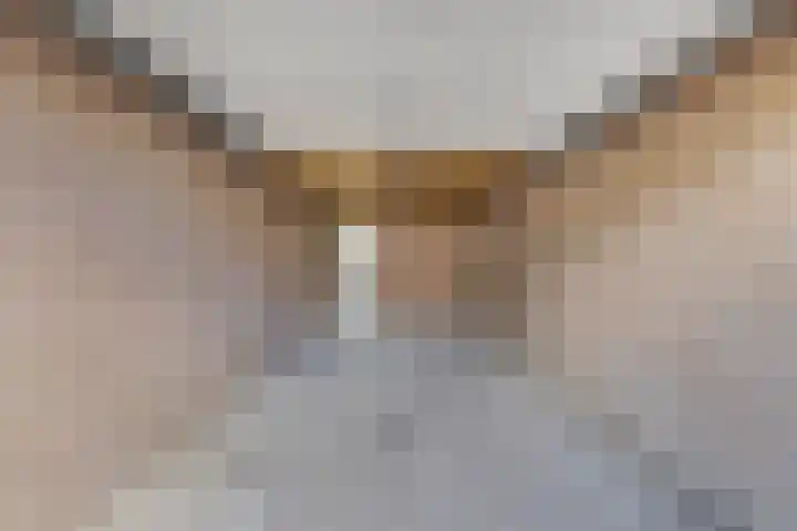 Kruisbooglaan 12 Oostvoorne thumbnail 23