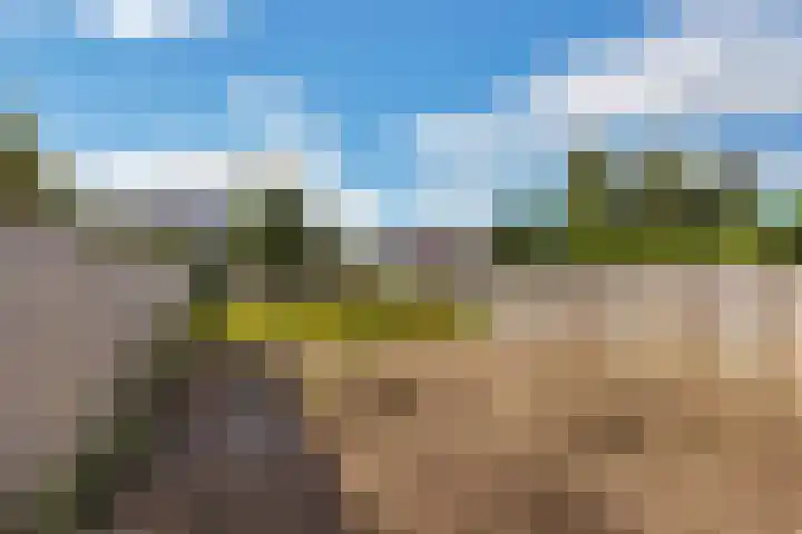 Kruisbooglaan 12 Oostvoorne thumbnail 25