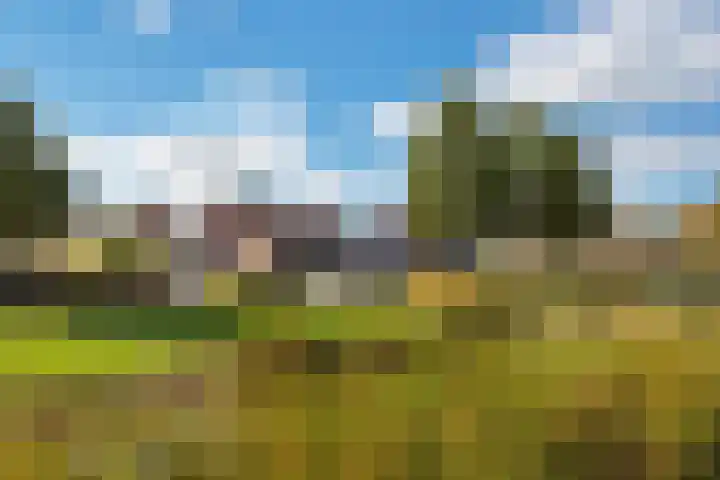 Kruisbooglaan 12 Oostvoorne thumbnail 26