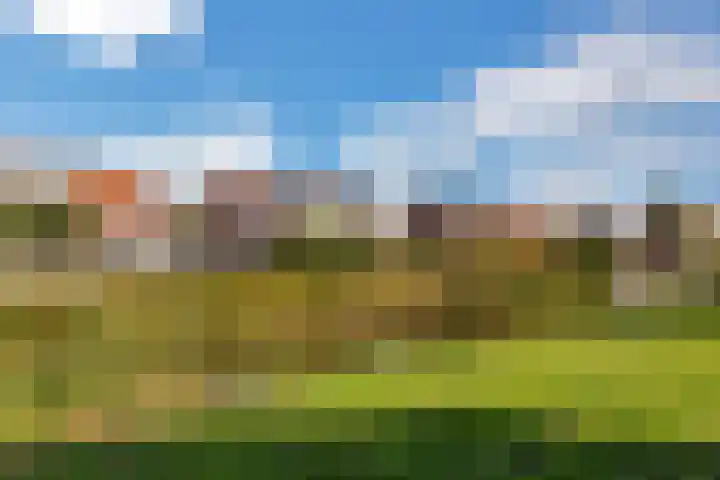 Kruisbooglaan 12 Oostvoorne thumbnail 27