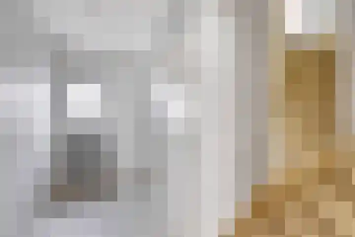 Kruisbooglaan 12 Oostvoorne thumbnail 8