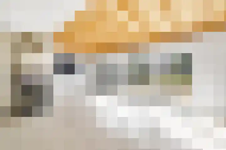 Kruisbooglaan 12 Oostvoorne thumbnail 9