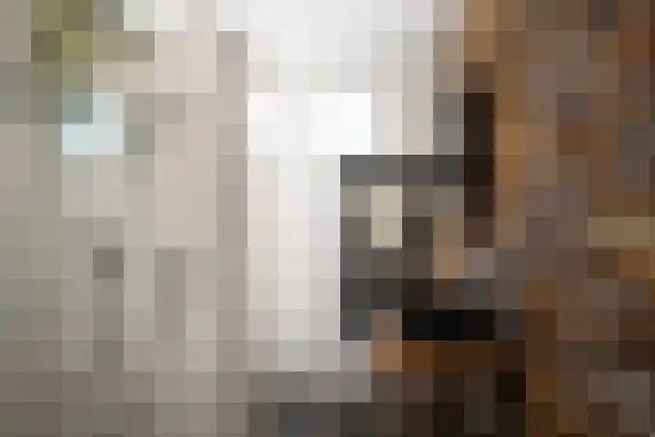 Kruisbooglaan 18 Oostvoorne thumbnail 21
