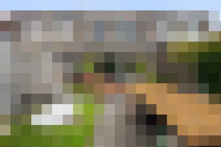 Kruisbooglaan 18 Oostvoorne thumbnail 31