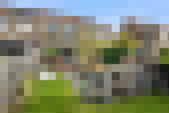 Kruisbooglaan 18 Oostvoorne thumbnail 32