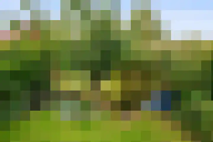 Kruisbooglaan 18 Oostvoorne thumbnail 34