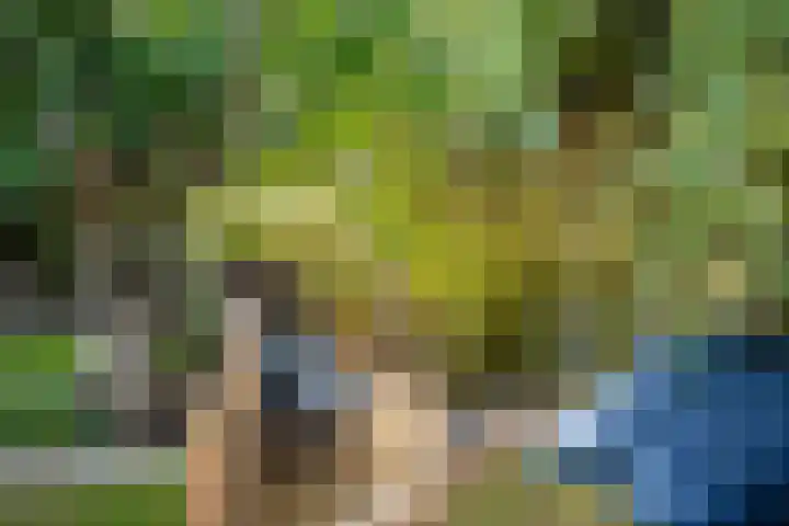 Kruisbooglaan 18 Oostvoorne thumbnail 35