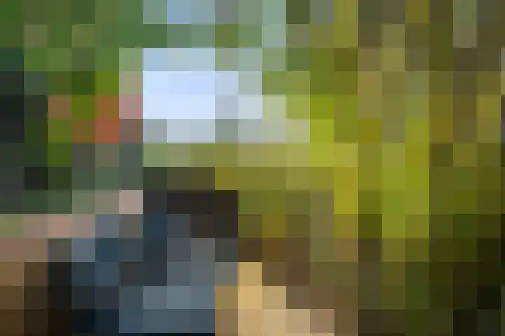 Kruisbooglaan 18 Oostvoorne thumbnail 36