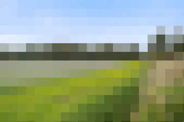 Kruisbooglaan 18 Oostvoorne thumbnail 38