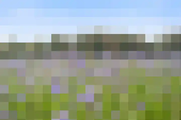 Kruisbooglaan 18 Oostvoorne thumbnail 39