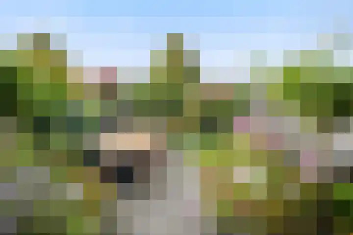 Kruisbooglaan 18 Oostvoorne thumbnail 4