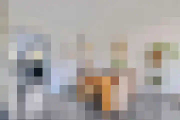 Kruisbooglaan 22 Oostvoorne thumbnail 11