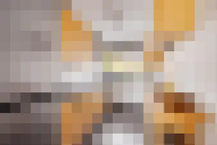 Kruisbooglaan 22 Oostvoorne thumbnail 13