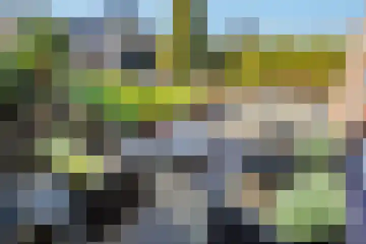 Kruisbooglaan 22 Oostvoorne thumbnail 29