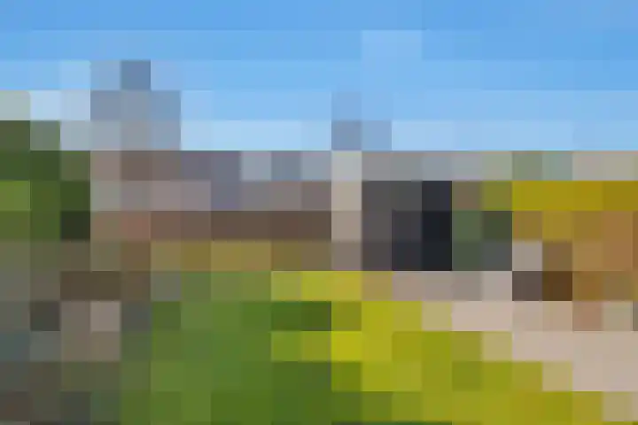 Kruisbooglaan 22 Oostvoorne thumbnail 30