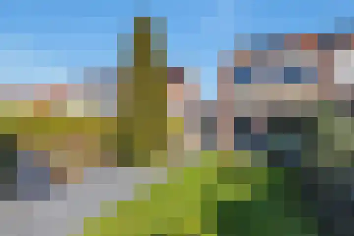 Kruisbooglaan 22 Oostvoorne thumbnail 32