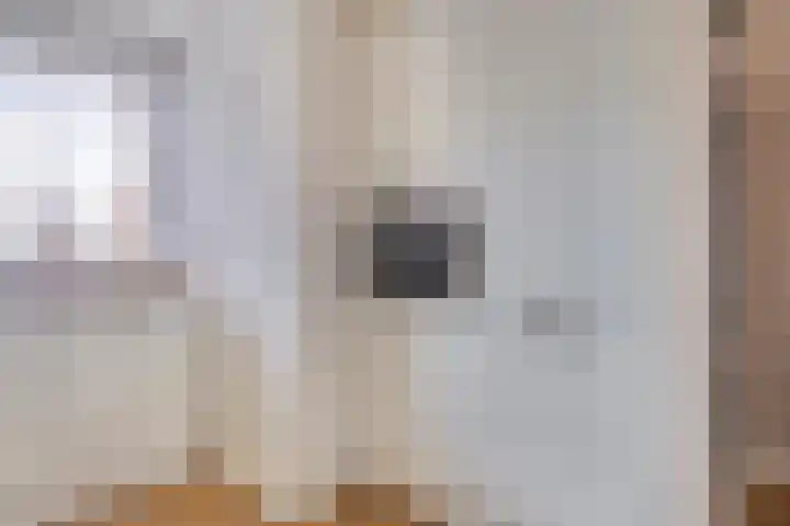 Kruisbooglaan 27 Oostvoorne thumbnail 13