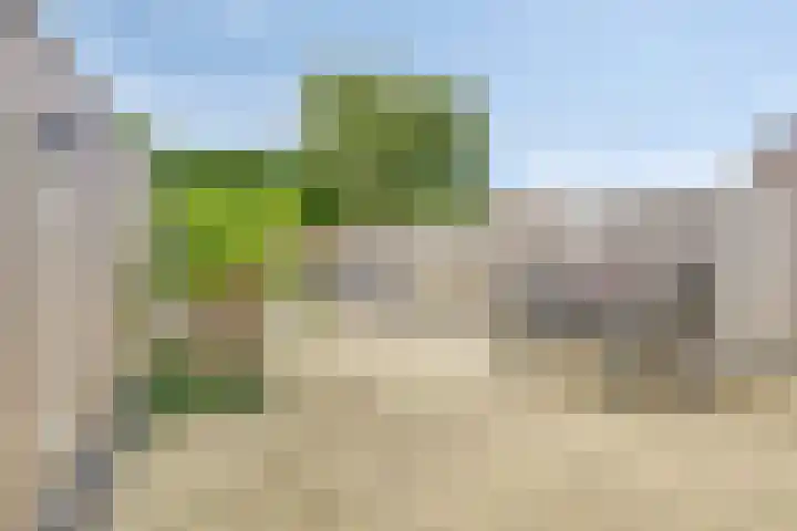 Kruisbooglaan 27 Oostvoorne thumbnail 28