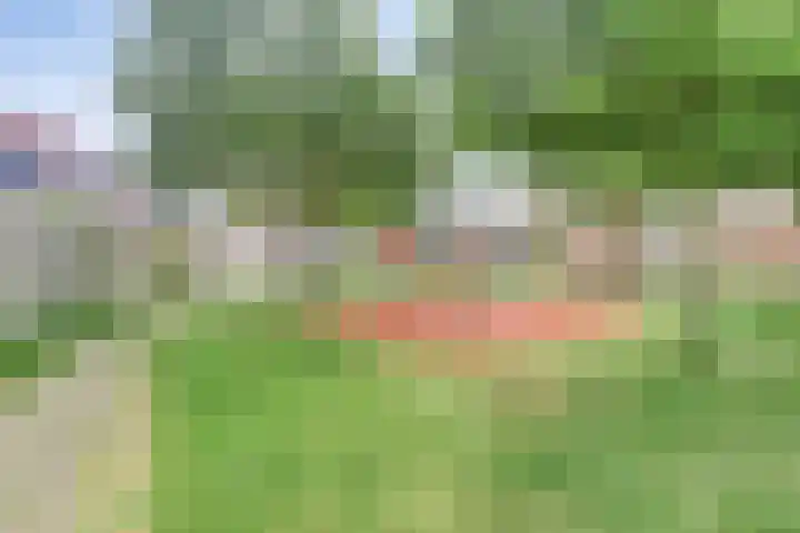 Kruisbooglaan 27 Oostvoorne thumbnail 31