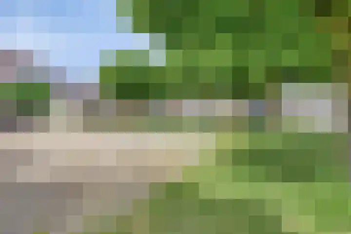 Kruisbooglaan 27 Oostvoorne thumbnail 32