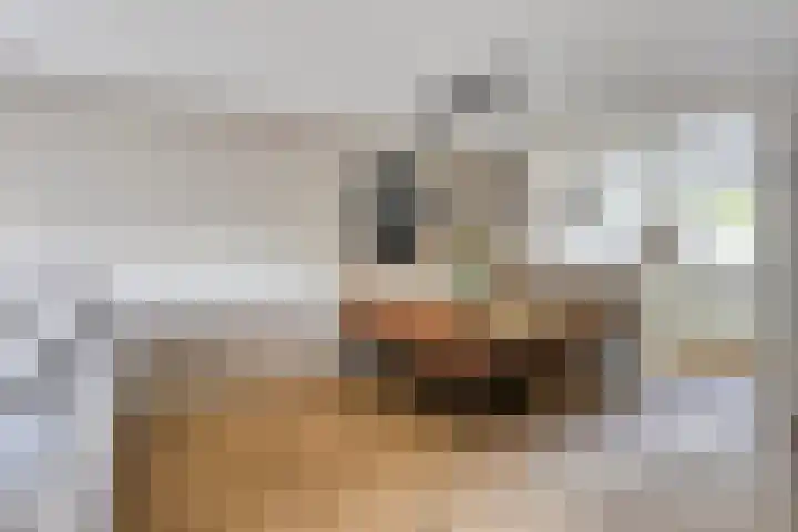 Kruisbooglaan 27 Oostvoorne thumbnail 9