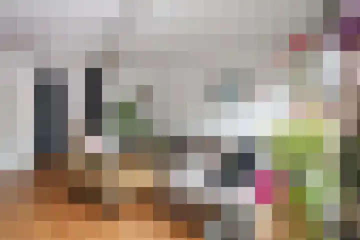 Kruisbooglaan 39 Oostvoorne thumbnail 21
