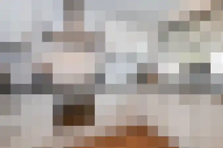 Kruisbooglaan 39 Oostvoorne thumbnail 28