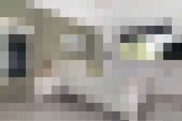 Kruisbooglaan 39 Oostvoorne thumbnail 34