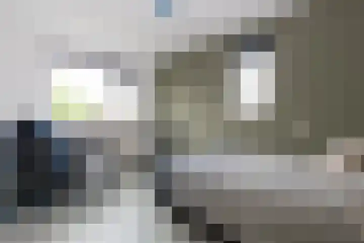 Kruisbooglaan 39 Oostvoorne thumbnail 37