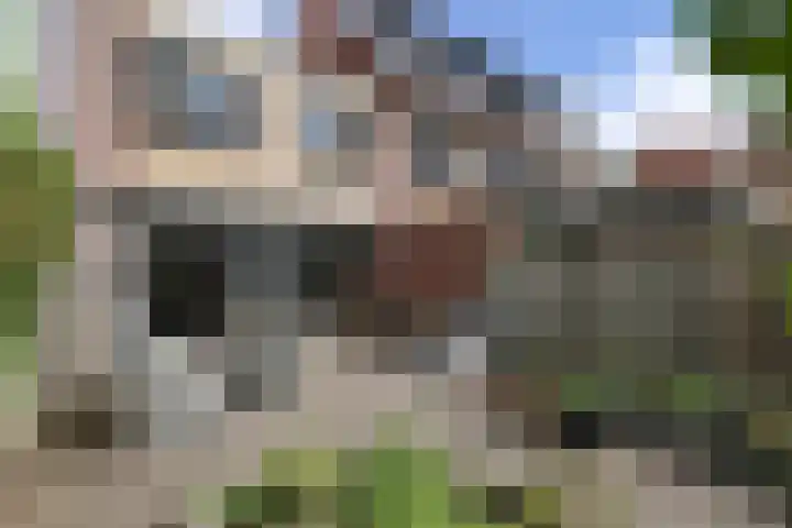 Kruisbooglaan 39 Oostvoorne thumbnail 48