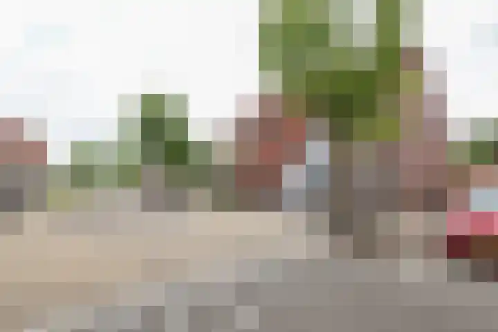 Kruisbooglaan 39 Oostvoorne thumbnail 5