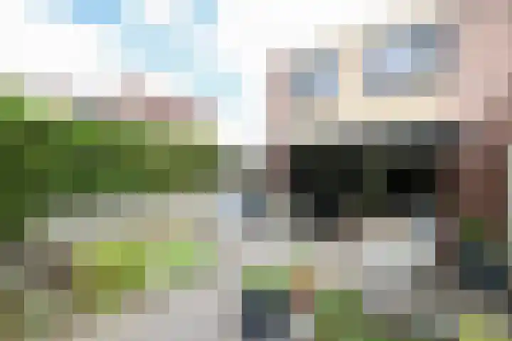 Kruisbooglaan 39 Oostvoorne thumbnail 50
