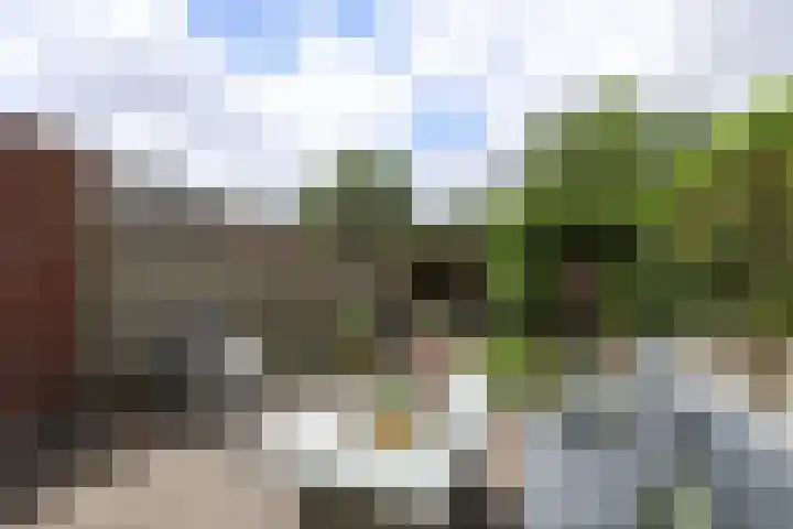 Kruisbooglaan 39 Oostvoorne thumbnail 51